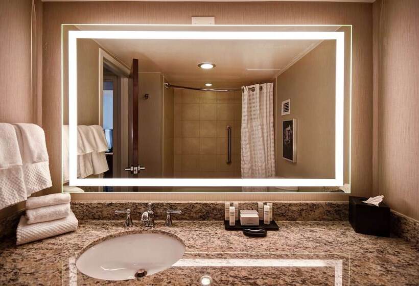 Suite Adapted for people with reduced mobility, Embassy Suites Montgomery  Conference Center