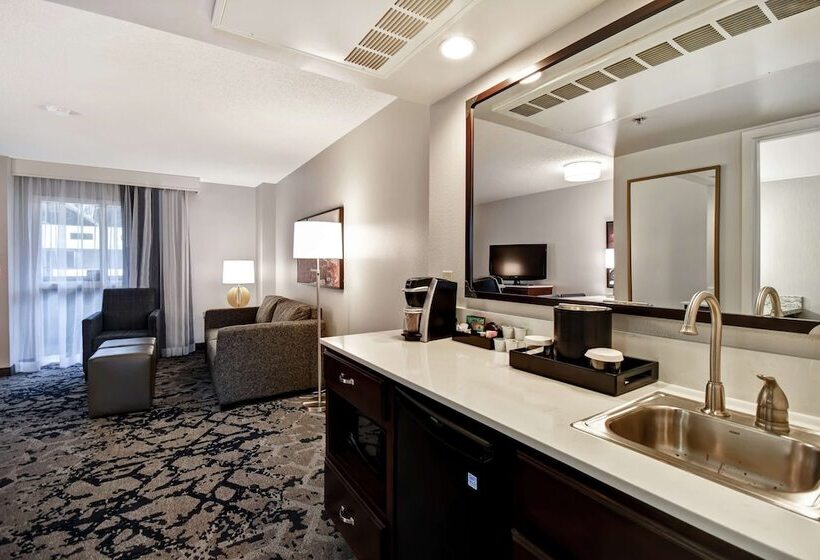 Suite Adapted for people with reduced mobility, Embassy Suites Montgomery  Conference Center