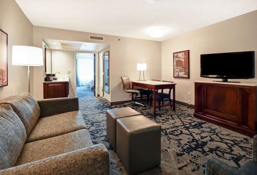 Suite Adaptată pentru Discapacitaţi, Embassy Suites Montgomery  Conference Center