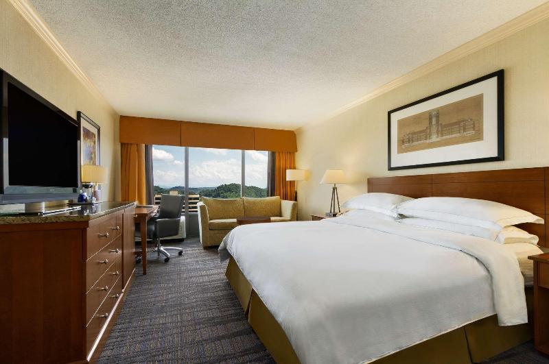 اتاق استاندارد با تخت بزرگ, Hilton Knoxville