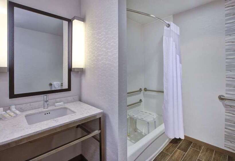 اتاق استاندارد با تخت بزرگ برای معلولان, Hilton Knoxville Airport