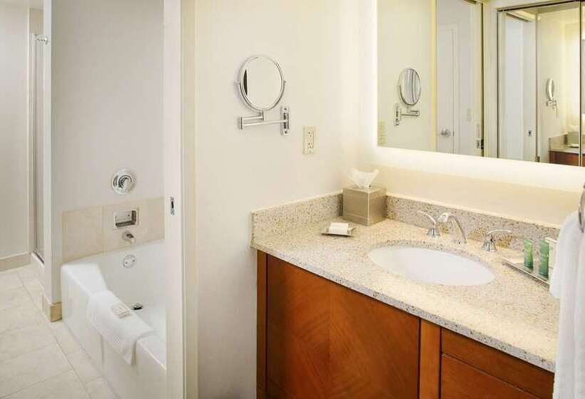 سوییت, Hilton Suites Atlantaperimeter