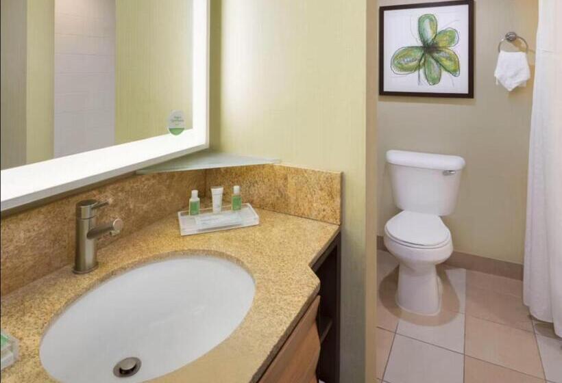 Suite Lit King, Holiday Inn San Jose Silicon Valley, An Ihg