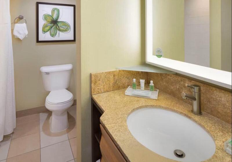 Suite Lit King, Holiday Inn San Jose Silicon Valley, An Ihg