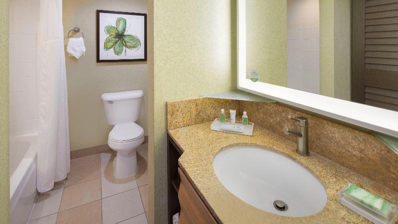 سوئیت با تخت بزرگ, Holiday Inn San Jose Silicon Valley, An Ihg