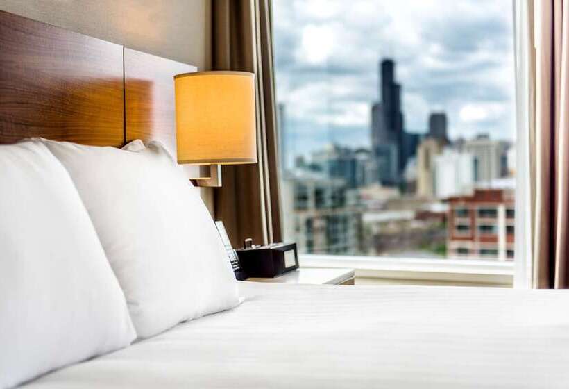 Standaardkamer met Tweepersoonsbed, Hyatt Regency Mccormick Place