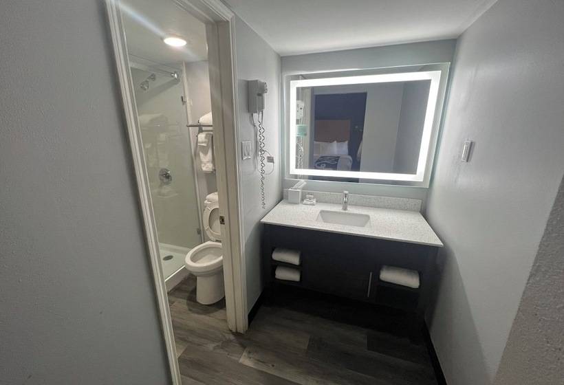اتاق استاندارد با 2 تخت دوبل, La Quinta Inn By Wyndham Amarillo Midcity