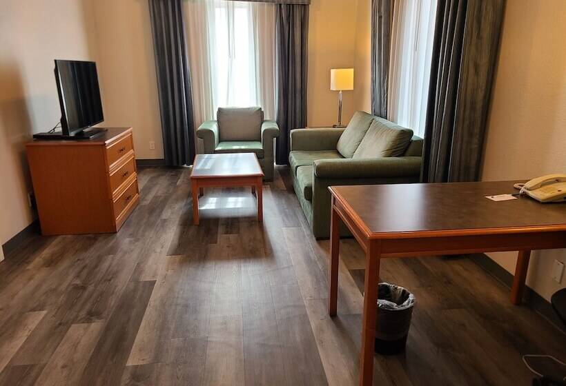 Suite Deluxe, La Quinta Inn By Wyndham Farmington