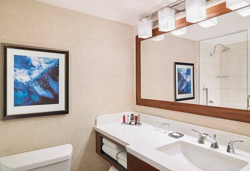 اتاق استاندارد با 2 تخت دوبل, Marriott Chicago O’hare