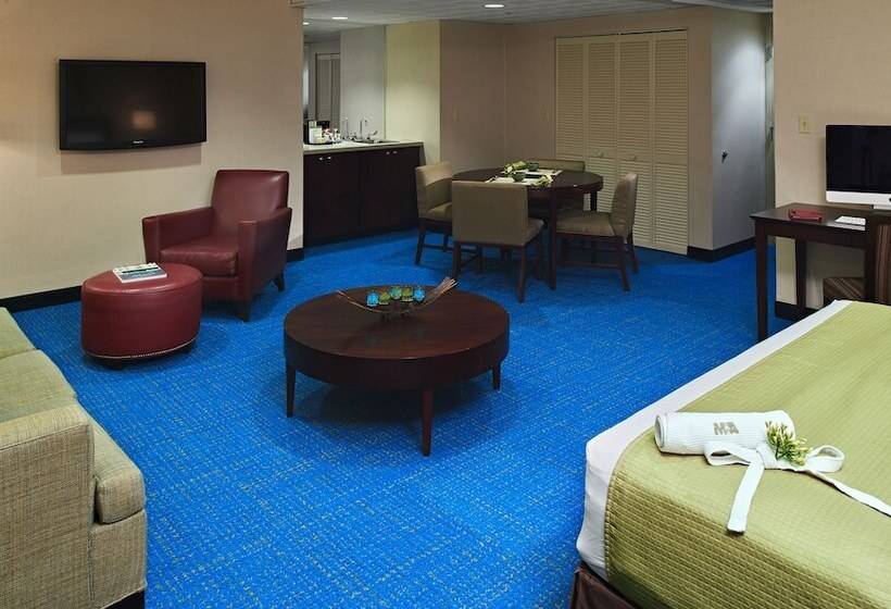 Suite Junior, Miami International Airport