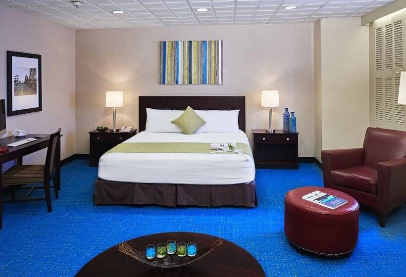 Junior Suite, Miami International Airport