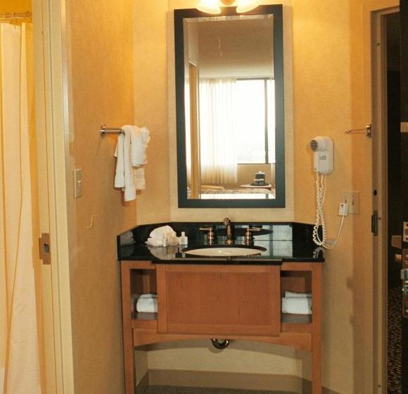 اتاق استاندارد با 2 تخت دوبل, Millennium Maxwell House Nashville