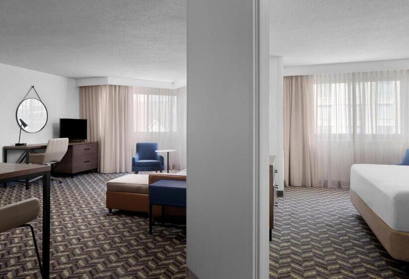 Suite para Deficientes, Residence Inn White Plains Westchester County