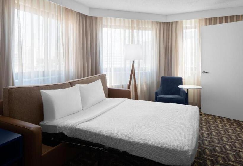 Suite para Deficientes, Residence Inn White Plains Westchester County