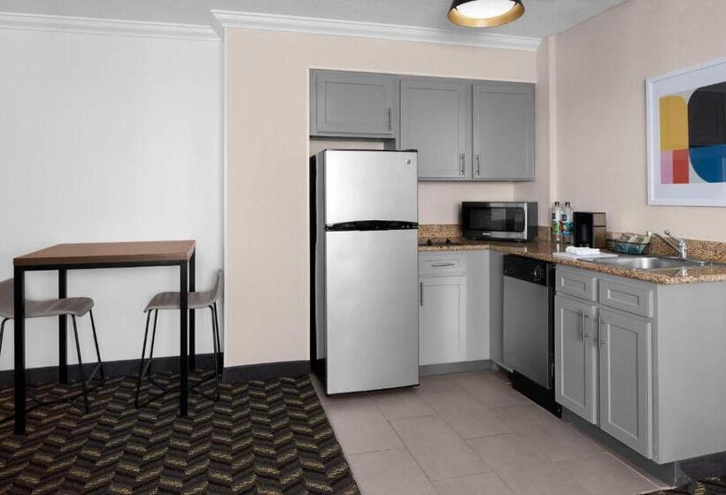 Suite Aangepast voor Gehandicapten, Residence Inn White Plains Westchester County