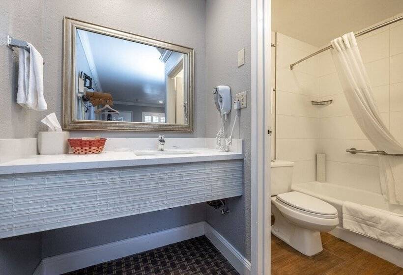 اتاق استاندارد برای معلولان, Soma Park Inn