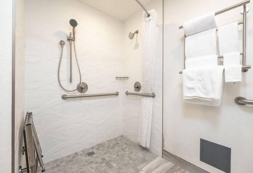 اتاق استاندارد برای معلولان, Soma Park Inn