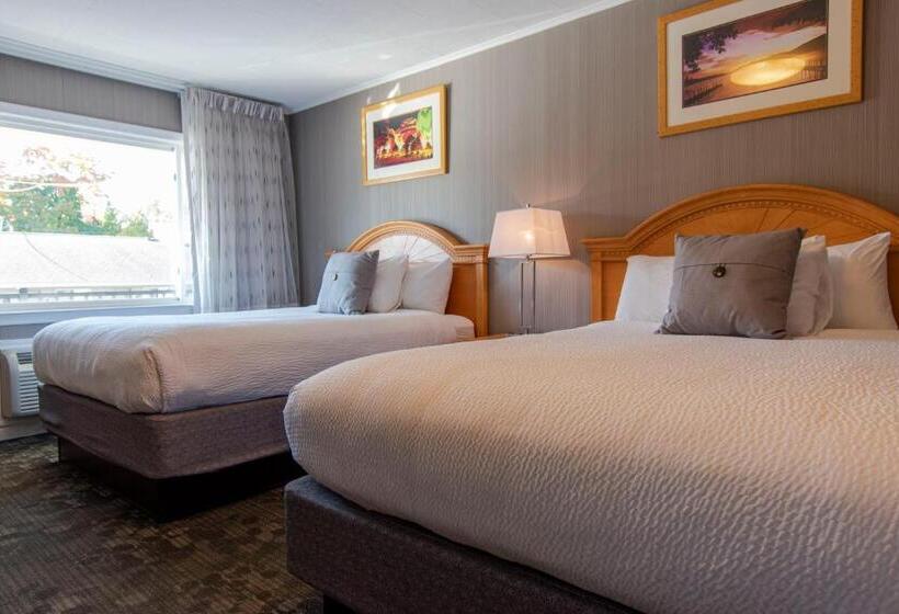 Chambre Standard, Marine Village Resort