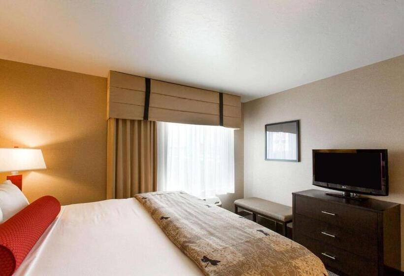 Люкс Кровать Кинг, Cambria Hotel Rapid City Near Mount Rushmore