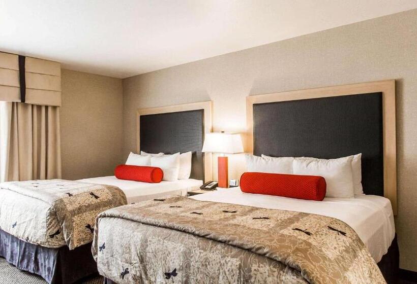 Люкс, Cambria Hotel Rapid City Near Mount Rushmore