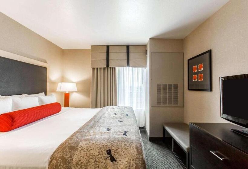 Люкс Адаптированный для Инвалидов, Cambria Hotel Rapid City Near Mount Rushmore