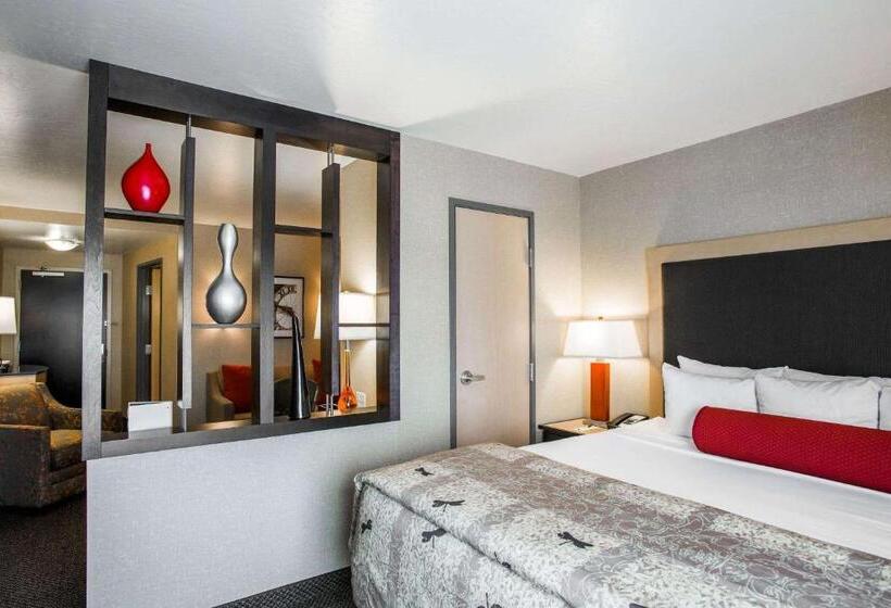 Люкс Адаптированный для Инвалидов, Cambria Hotel Rapid City Near Mount Rushmore