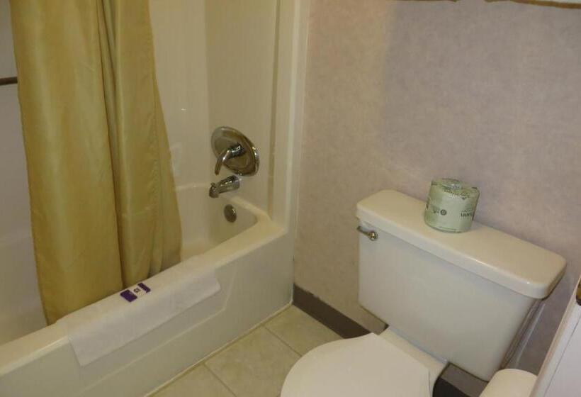 Standard Room Adapted for people with reduced mobility, Knights Inn  Canton, Oh