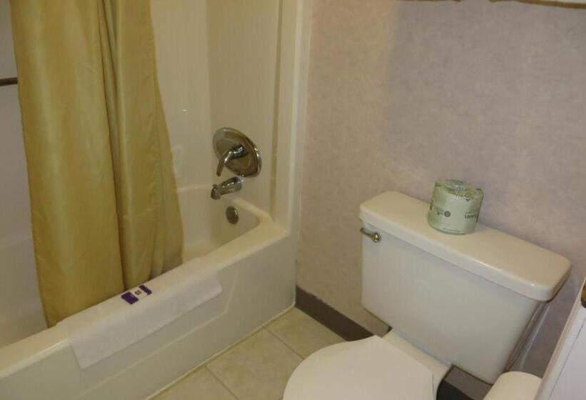 اتاق استاندارد با تخت بزرگ, Knights Inn Canton