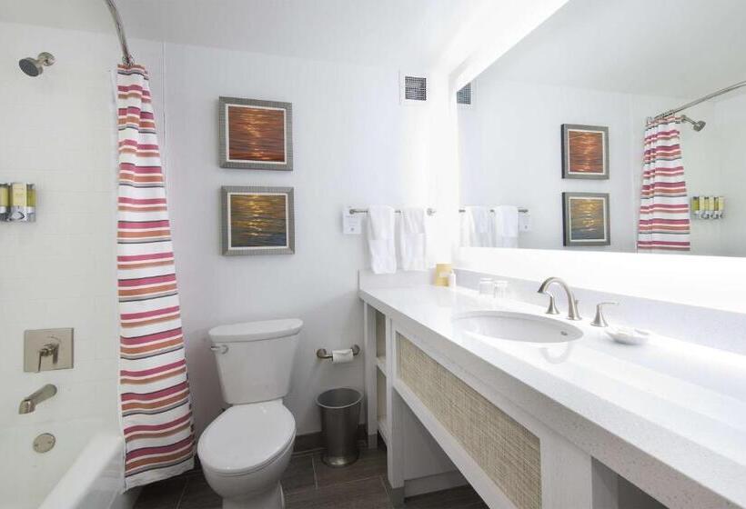اتاق استاندارد با تخت بزرگ, Sonesta Resort  Hilton Head Island