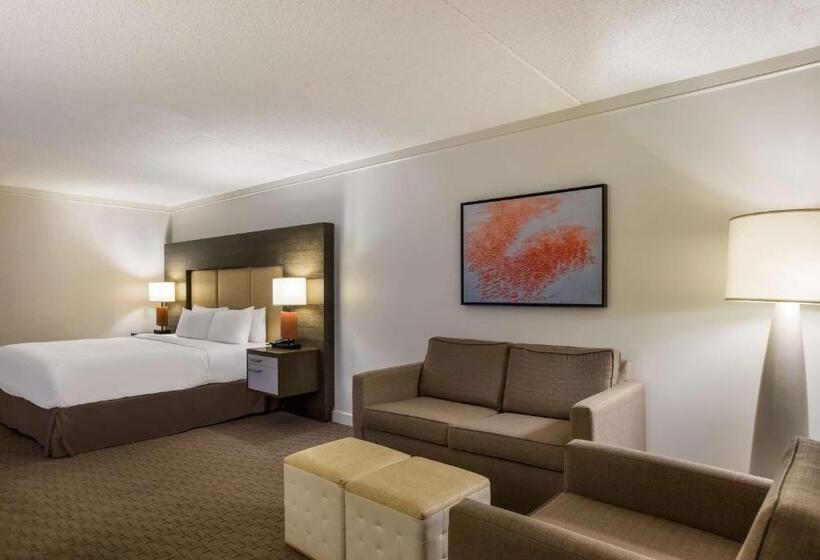 اتاق اجرایی با تخت بزرگ, Sonesta Resort  Hilton Head Island