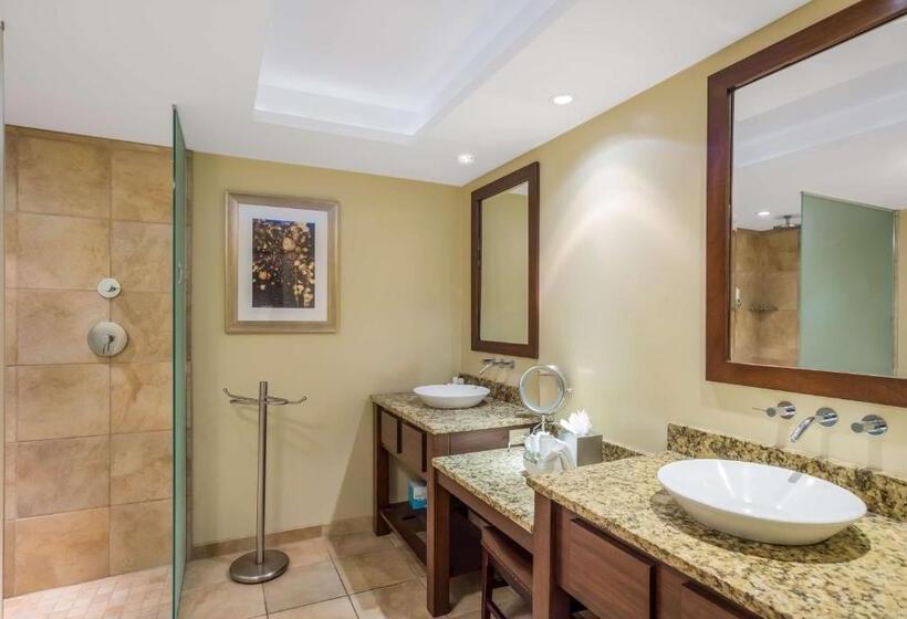 سوئیت برای معلولان, Sonesta Resort  Hilton Head Island