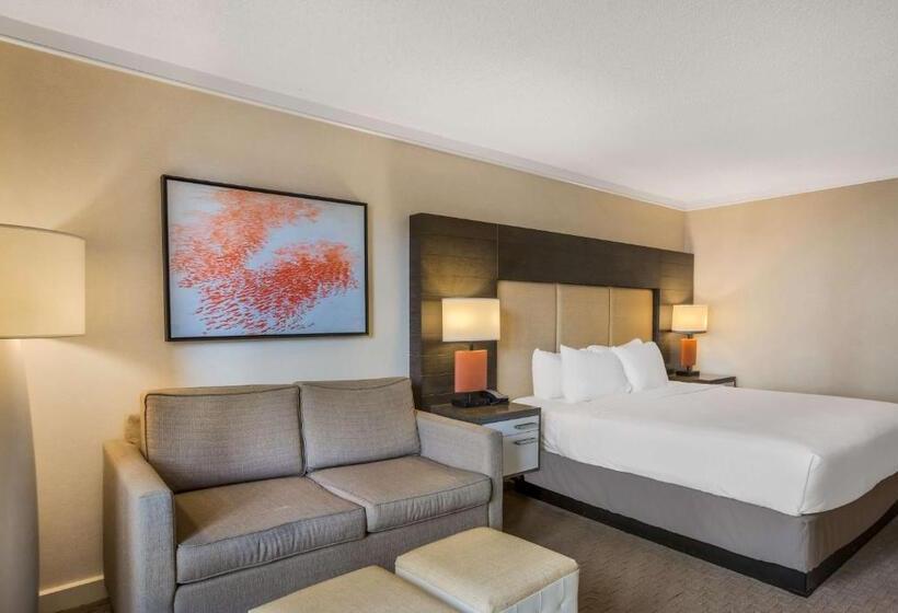 اتاق استاندارد, Sonesta Resort  Hilton Head Island