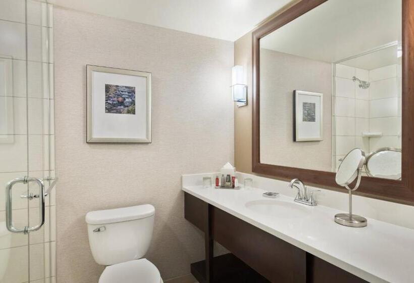 اتاق استاندارد با تخت بزرگ, Columbus Airport Marriott