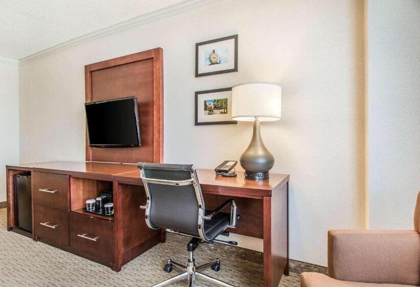 اتاق استاندارد با تخت بزرگ, Comfort Inn By The Bay