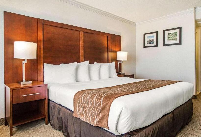 اتاق استاندارد با تخت بزرگ, Comfort Inn By The Bay