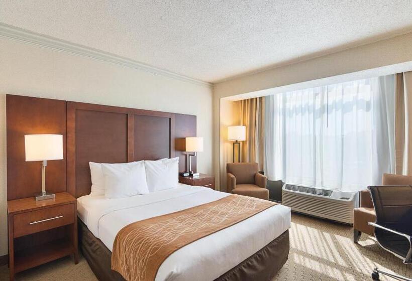 اتاق استاندارد, Comfort Inn By The Bay