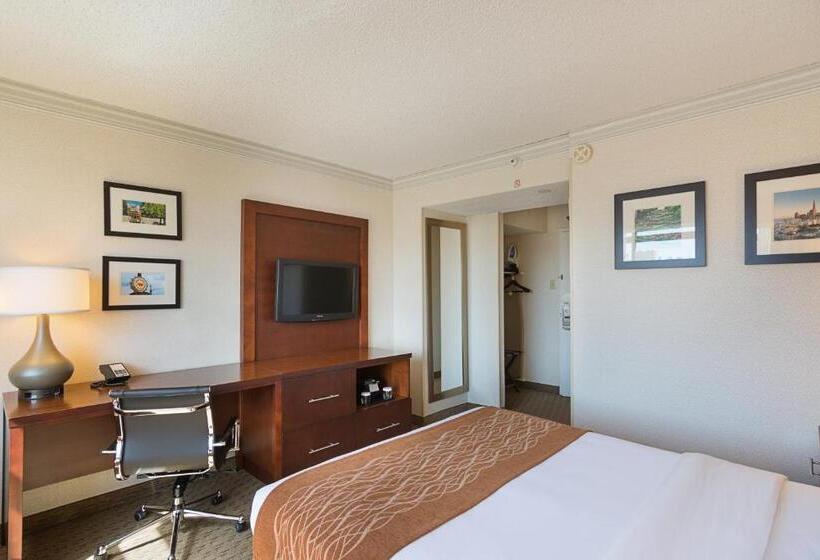 اتاق استاندارد, Comfort Inn By The Bay