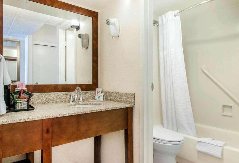 اتاق استاندارد با چشم‌انداز, Comfort Inn By The Bay