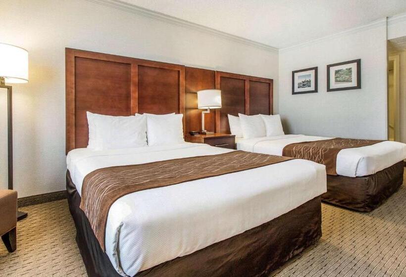 اتاق استاندارد با چشم‌انداز, Comfort Inn By The Bay