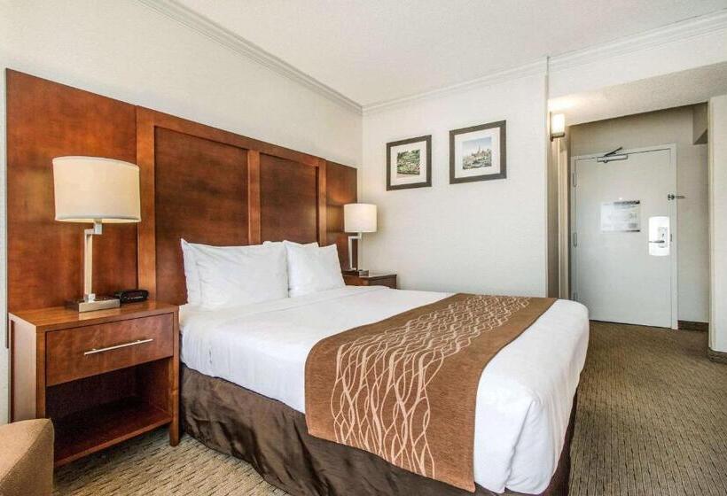 اتاق استاندارد برای معلولان, Comfort Inn By The Bay