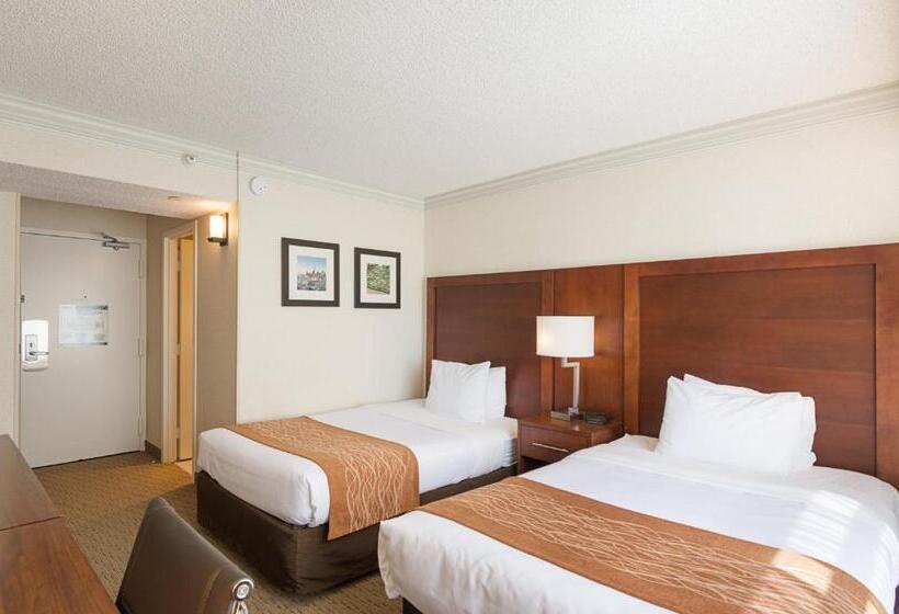 اتاق استاندارد, Comfort Inn By The Bay