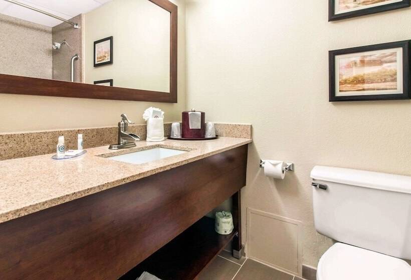 سوییت, Comfort Inn & Suites Omaha Central