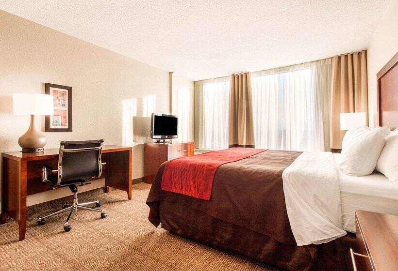 Suite, Comfort Inn & Suites Omaha Central