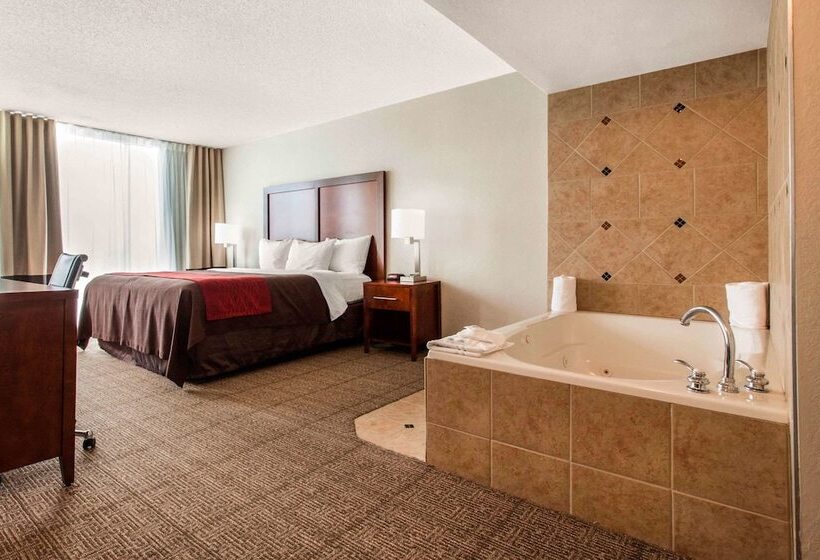 Suite, Comfort Inn & Suites Omaha Central