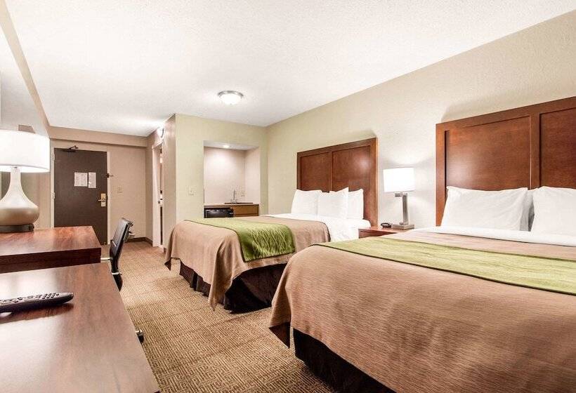 Suite, Comfort Inn & Suites Omaha Central