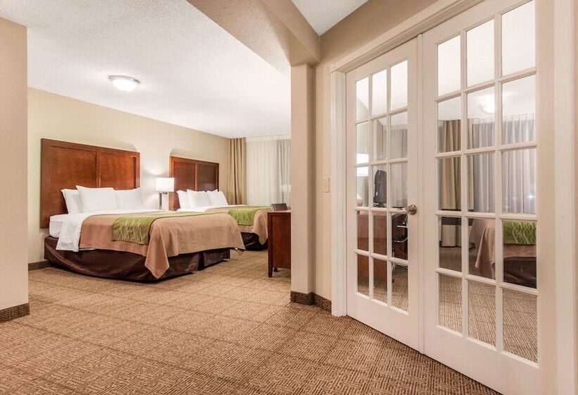 Suite, Comfort Inn & Suites Omaha Central