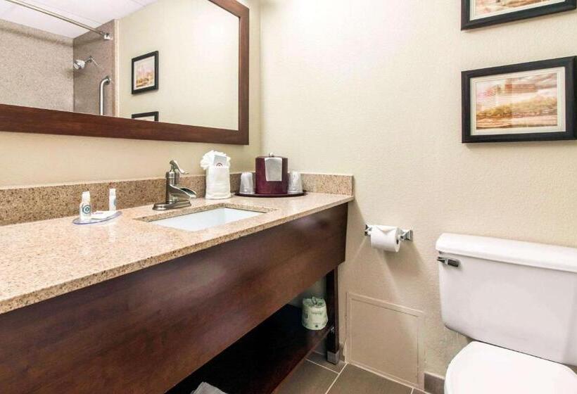 غرفة قياسية سرير كينج, Comfort Inn & Suites Omaha Central