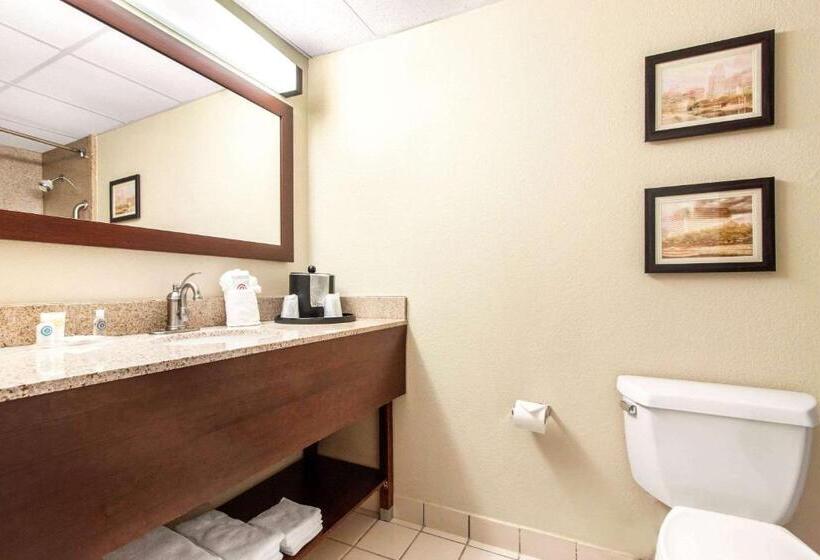 غرفة قياسية سرير كينج, Comfort Inn & Suites Omaha Central