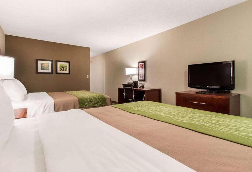 Standard Room, Comfort Inn & Suites Omaha Central