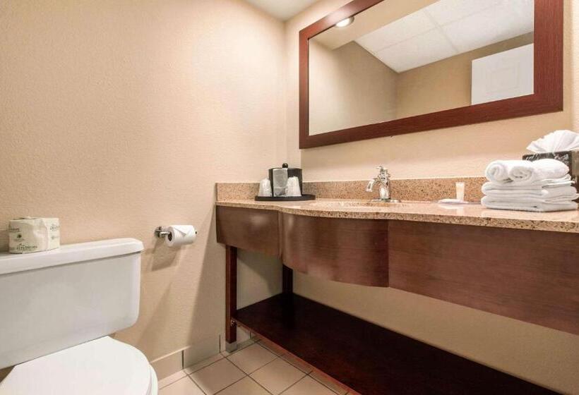 Suite, Comfort Inn & Suites Omaha Central